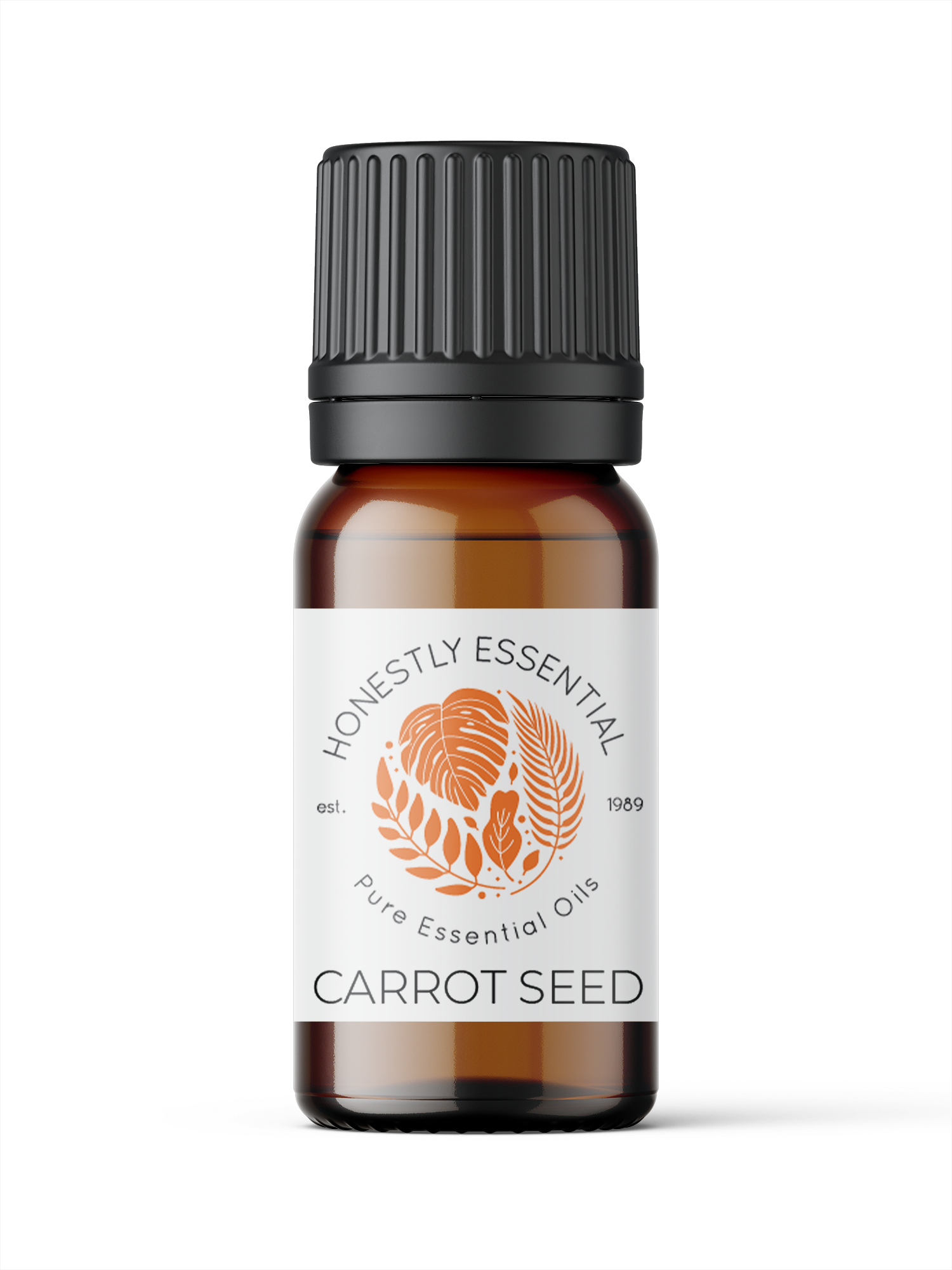 Carrot Seed Essential Oil - Essential Oils | Honestly Essential Oils bruising, immunity, seed, seed essential oils, seeds, sores, wounds