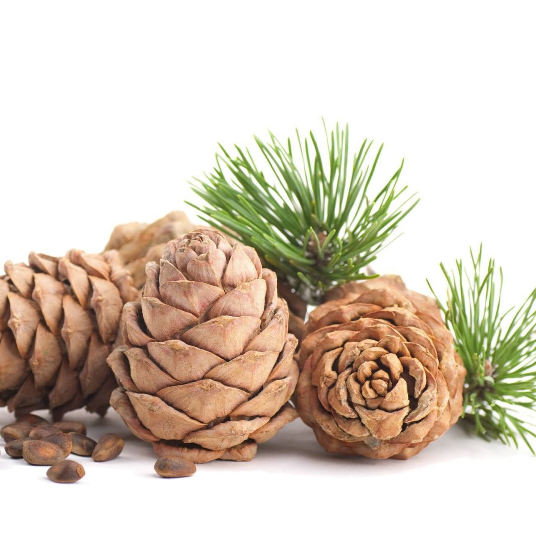All You Need To Know About Cedarwood Essential Oil