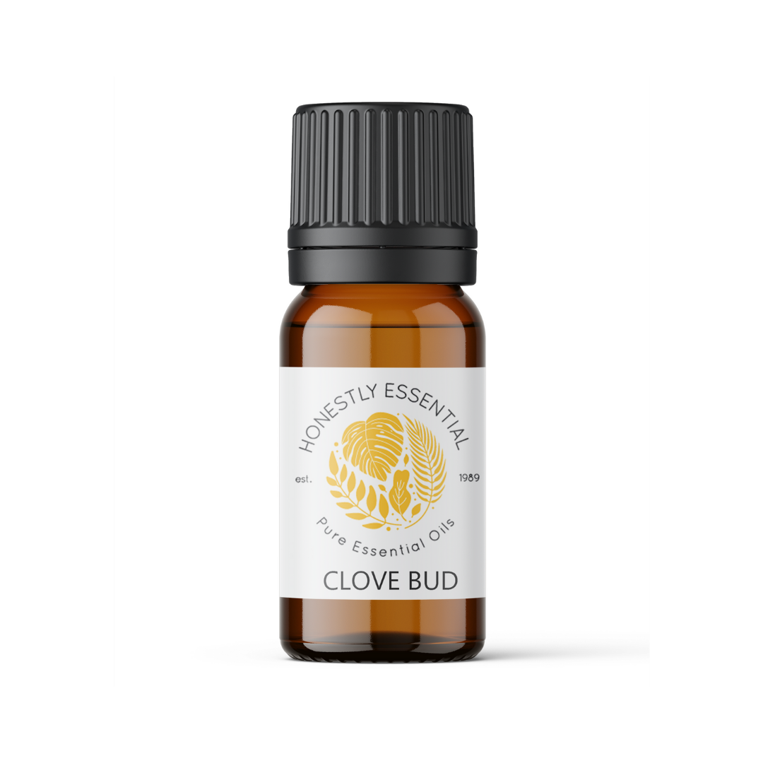 Clove Bud Essential Oil - Essential Oils | Honestly Essential Oils digestion, immunity, Insect and Pest Repellent, kid safe, pain, pain reliever, spice, spice essential oil, spices, tree, tre
