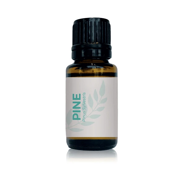 Pine Needle Essential Oil - Essential Oils | Honestly Essential Oils child, essential, Immunity, insect and pest repellent, kid, kid safe, needle, oil, organic, pine, safe, tree, tree essenti
