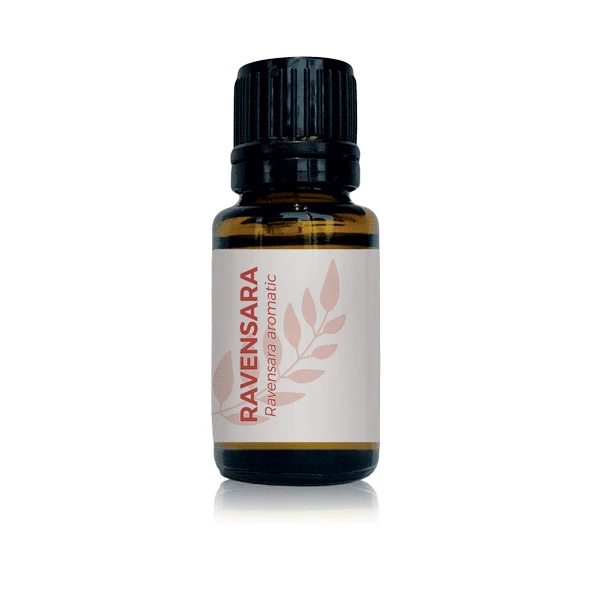 Ravensara Essential Oil - Essential Oils | Honestly Essential Oils bruising, essential, Immunity, insect and pest repellent, oil, organic, ravensara, sores, wounds
