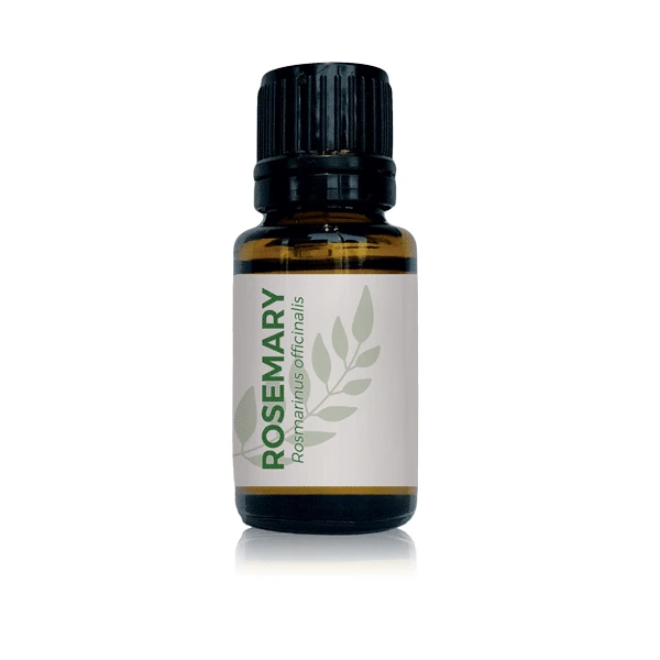 Rosemary Essential Oil - Essential Oils | Honestly Essential Oils energy, essential, herb, herb essential oil, herbs, Immunity, insect and pest repellent, oil, organic, rosemary